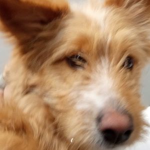 Meet your Posher, Ethan